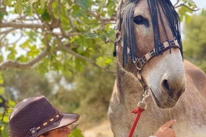 Tour the Sanctuary and Walk with the Donkeys and Share their Love - Supportive Care Activities at Donkey Dreamland