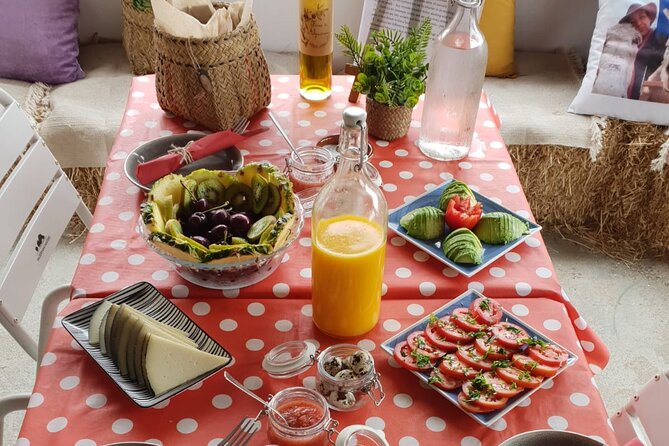 Tour the Sanctuary and Walk with the Donkeys and Share their Love - How Donkey Dreamland Differs from Other Experiences