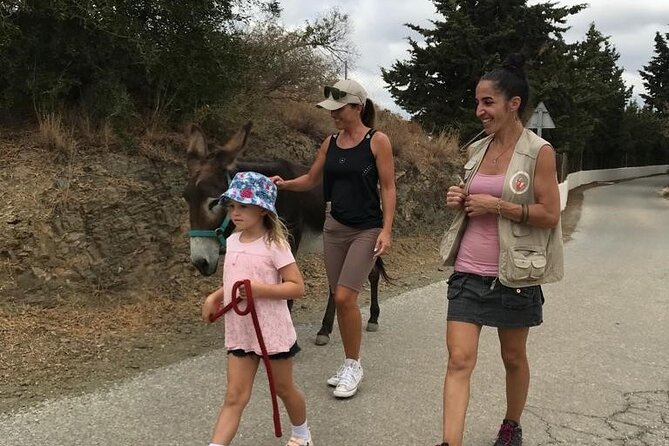 Tour the Sanctuary and Walk with the Donkeys and Share their Love - Cost and Cancellation Flexibility