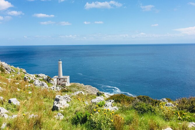 Tour to 4 Towns of Salento: Otranto, Leuca, Gallipoli, Galatina - Why This Tour Is Worth Considering