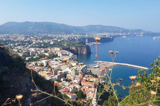 Tour to Amalfi, Positano, Sorrento and Ravello, a full day from Rome - Visiting Ravello: Panoramic Highpoint of the Coast