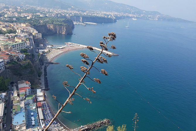 Tour to Amalfi, Positano, Sorrento and Ravello, a full day from Rome - Amalfi’s Historic Charm and Vibrant Atmosphere