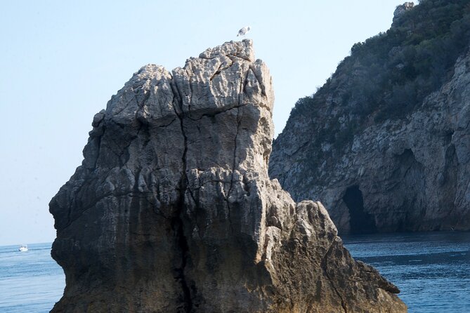 Tour to Baia di Taormina, Isola Bella and Naxos - The Captain and Crew: Knowledgeable and Friendly Guides