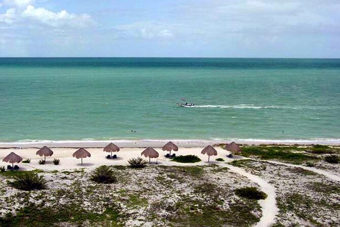 Tour to Celestun and see the flamingos - Discover the Ría Celestún Biosphere Reserve’s Natural Splendors