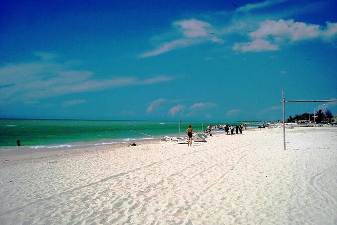 Tour to Celestun and see the flamingos - Transportation and Group Size for a Comfortable Experience