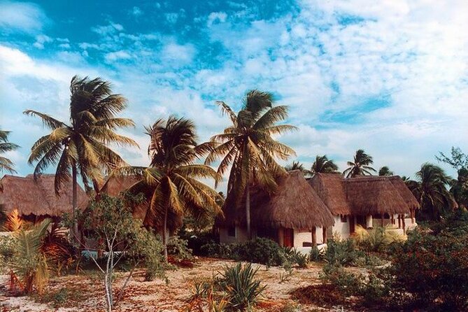 Tour to Celestun and see the flamingos - The Charm of Celestun’s Local Culture and Beaches