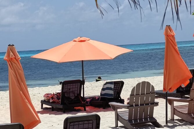 Tour to Cozumel Eco Nature Escape and Otoch Mayan Experience - Exploring Punta Sur Ecological Park and Laguna Colombia