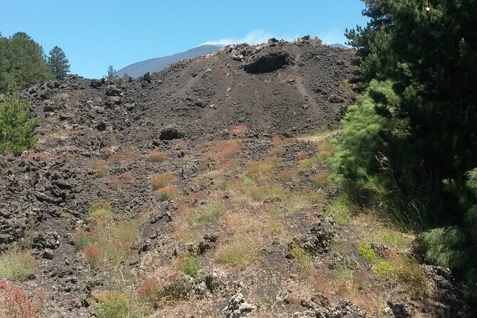 Tour to Etna Volcano and Taormina from Giardini Naxos - Taormina - Practical Details and Considerations