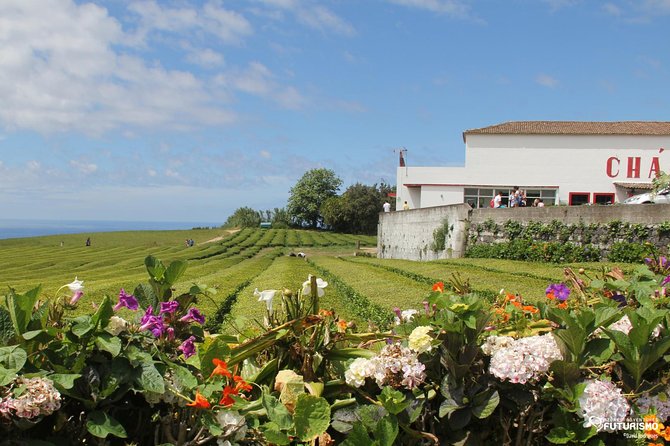 Tour to Furnas and Terra Nostra Garden - full day - Practicalities: Group Size, Booking, and Meeting Details