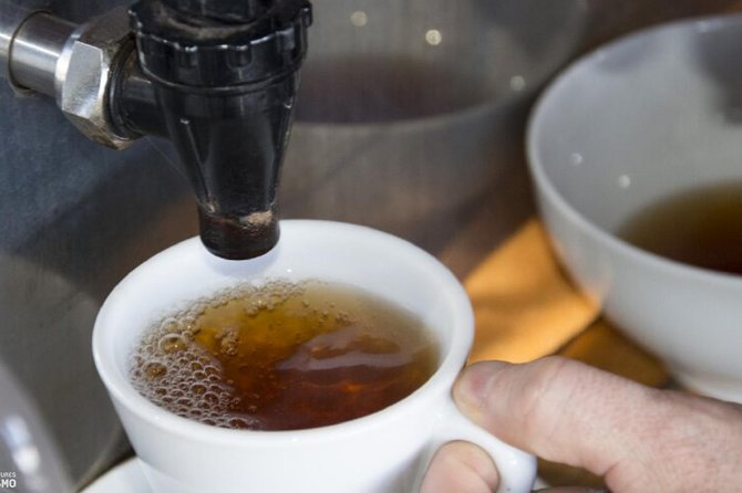 Tour to Furnas and Terra Nostra Garden - full day - The Pacing and Overall Experience