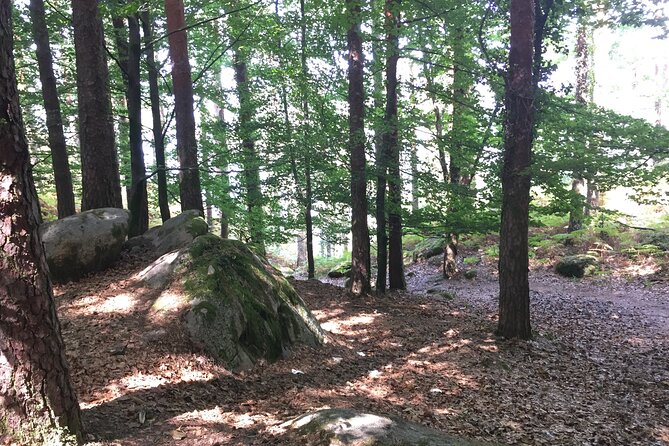 Tour to Gerês in 4x4 full day with option of SUP Tour - Picnic with Portuguese Specialties