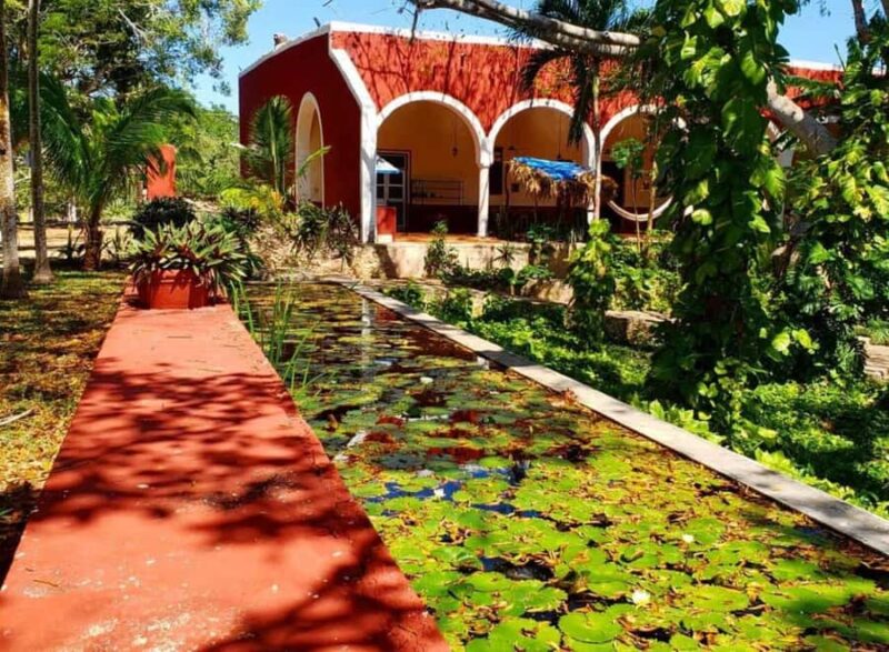 Tour to Hacienda Mucuyché, 2 cenotes & Oxkintok from Merida - Explore the Ancient Maya City of Oxkintok and Discover Its Mysteries