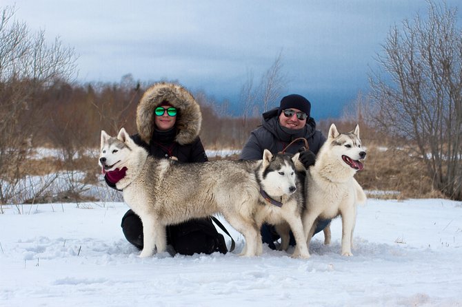 Tour to Husky Park with Cani-Cross Hike - Visiting the Kõrvemaa Husky Park and What You’ll See