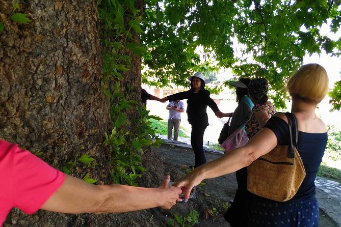 Tour to Kakheti. Sighnaghi Bodbe Monastery Tsinandali Telavi Winery Gombori - Tsinandali Palace: Georgia’s Wine and Literary Heritage