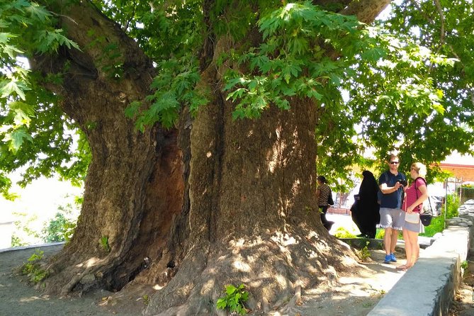 Tour to Kakheti. Sighnaghi Bodbe Monastery Tsinandali Telavi Winery Gombori - Georgian Food and Wine Culture at a Local House