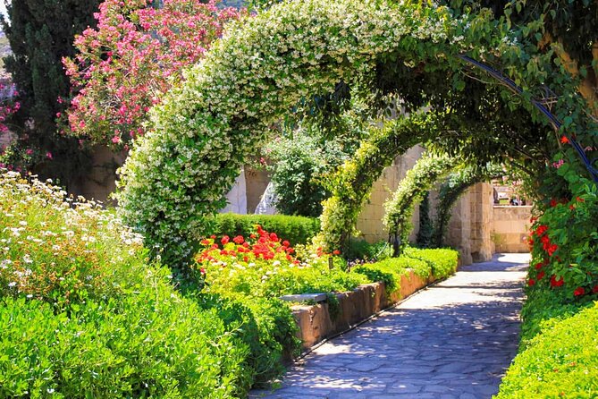 Tour to Kyrenia - St. Hilarion and Bellapais Abbey from Paphos - Practicalities: Transport and Group Size