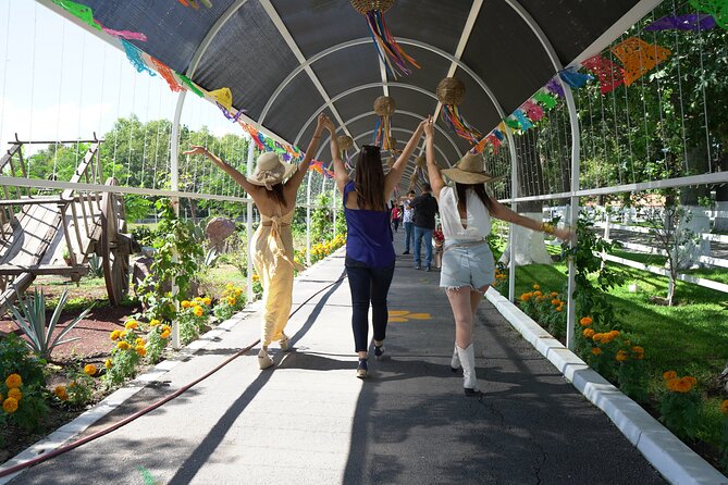 Tour to Lake Chapala, MAGIC TOWN of Ajijic from Guadalajara - Free Time in Ajijic