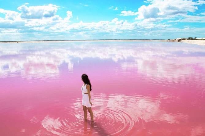Tour to Las Coloradas Pink Waters and Boat Ride in Rio Lagartos with Lunch. - Key Points