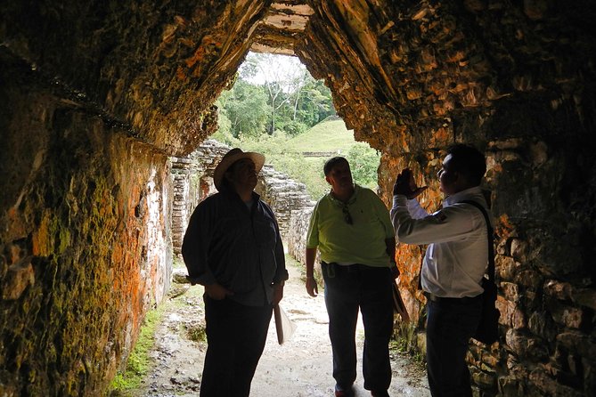 Tour to Palenque and Cascada de Misol Ha - Potential Challenges and Cautions