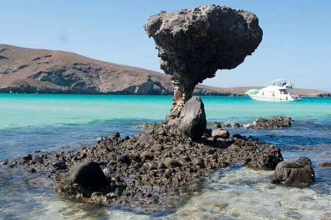 Tour to Playa La Paz from Cabo San Lucas - Explore Baja California Sur’s Most Iconic Beaches and Towns from Cabo San Lucas