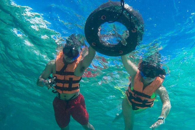 Tour to swim with turtles - Tour Logistics and Pacing