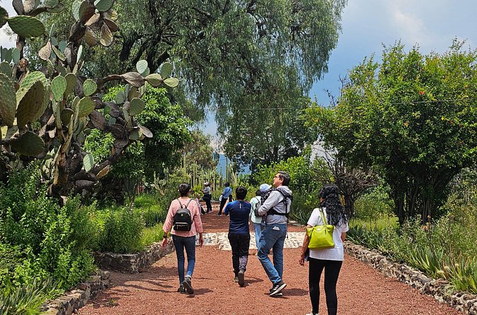 Tour to Teotihuacan the city of the gods - Practicalities: Meeting Point, Physical Fitness, and Accessibility