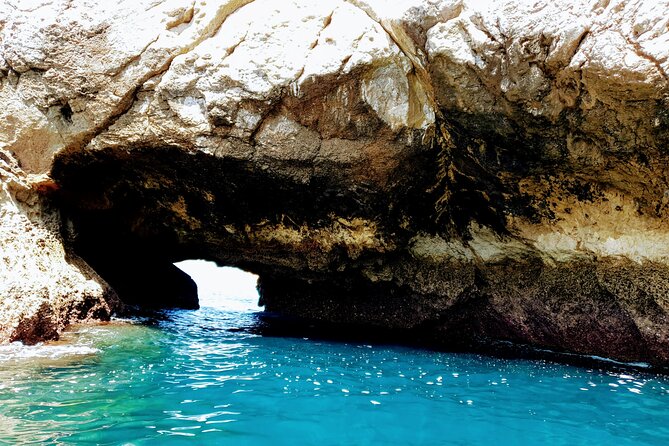 Tour to the caves of Sesimbra - Encountering Dolphins and Marine Wildlife