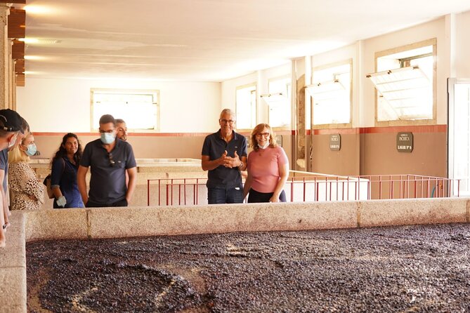 Tour to the Palace of Mateus and the Douro - The Charm of Pinhão Train Station in the Douro Valley