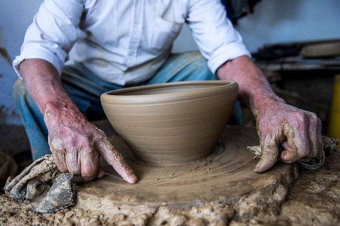 Tour to the Palace of Mateus and the Douro - Vineyard Visits and Wine Tasting at Quinta das Carvalhas