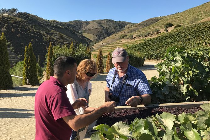 Tour to the Palace of Mateus and the Douro - Discovering the Vineyard Village of Provesende with Lunch