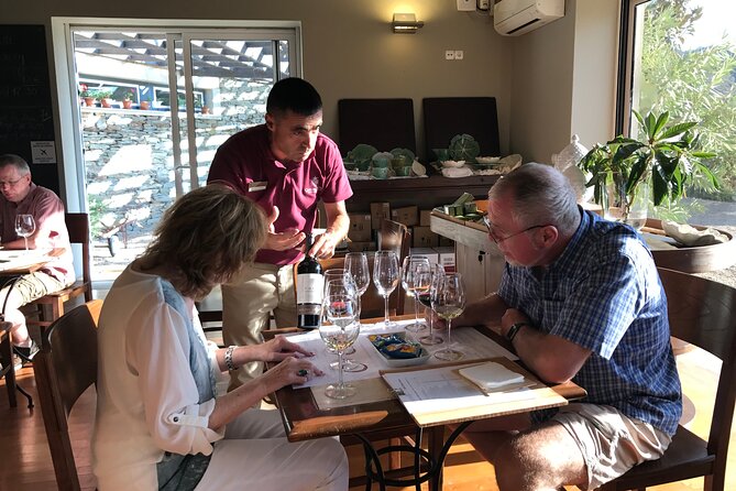 Tour to the Palace of Mateus and the Douro - Scenic Viewpoints and Optional Classic Vehicle Ride