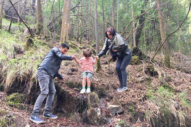 Tour to the Waterfalls in 4x4 full day - Exploring Angeiras: A Fisherman’s Village by the Sea