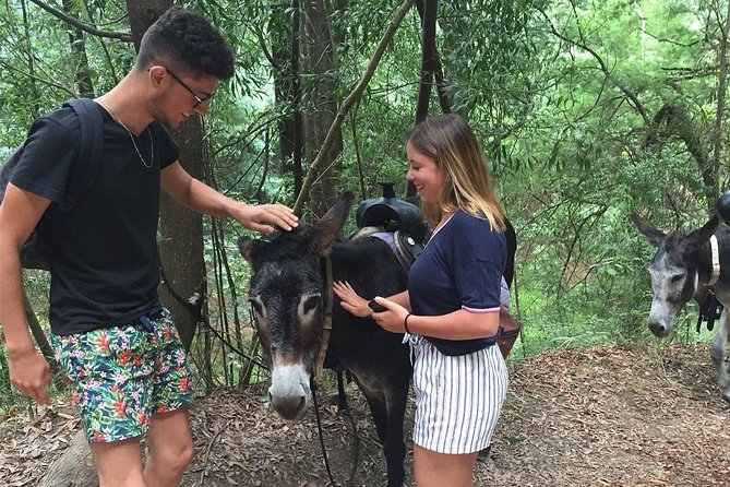 Tour to the Waterfalls in 4x4 full day - Enjoying the Scenic Coastal Viewpoints