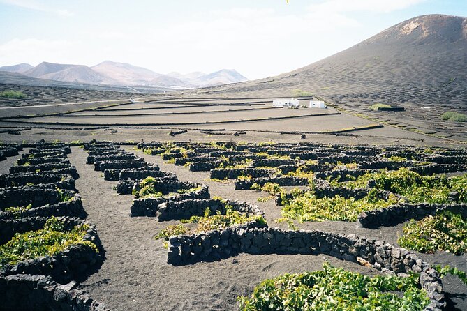 Tour to Timanfaya, La Geria and La Laguna Verde - Exploring La Geria’s Volcanic Vineyards