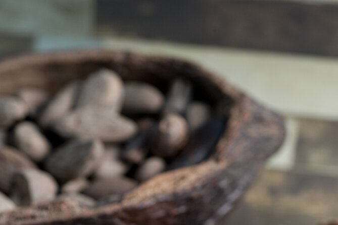 Tour to Uxmal + Choco Story Chocolate Museum - Discovering the Yucatán Choco Story Museum