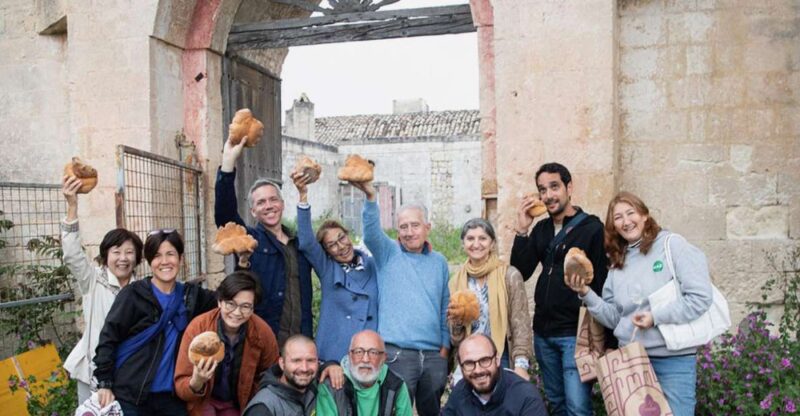 Tour tra i Templi dell'Olio e gli Olivi Patriarchi - Key Points