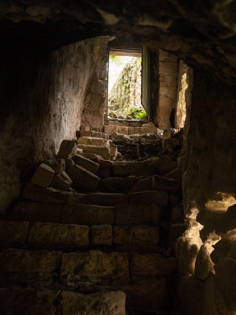 Tour tra i Templi dell'Olio e gli Olivi Patriarchi - Tasting Matera Bread and Olive Oil Under Ancient Trees