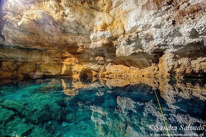 Tour Tulum Coba Cenote and Playa del Carmen (4 in 1) - Cooling Off at Cenotes Tamcach-Ha & Choo-Ha