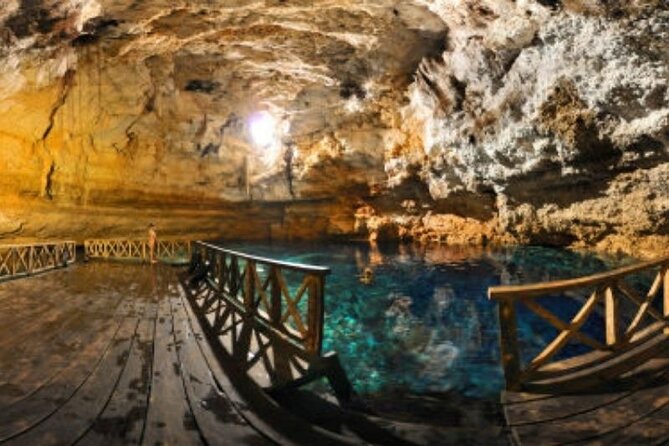 Tour Tulum Coba Cenote and Playa del Carmen (4 in 1) - The Free Hour at Playa del Carmen’s Fifth Avenue