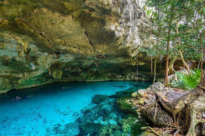 Tour Tulum Xtreme zip line abseiling and adventure in cenote - Swim and Snorkel in a Crystal-Clear Cenote