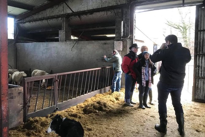 Tour Wicklow Mountains National Park in a limo with private guide - Exploring Powerscourt House & Gardens