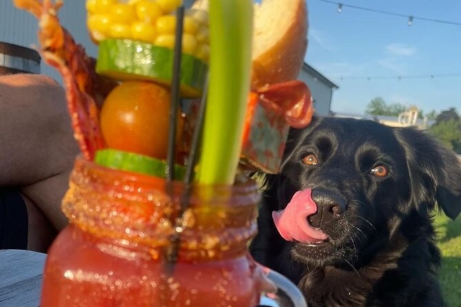 Tour Wine, Beer, Cider, Spirit - Something for Everyone Tour - Final Thoughts on the Niagara Beverage Tour