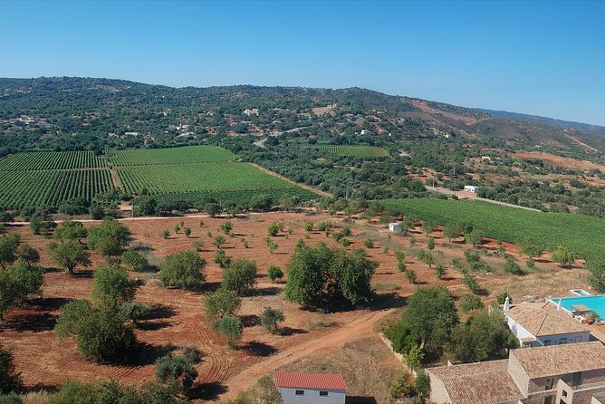 Tour & Wine tasting - Authentic Algarve Flavours by Quinta da Tôr - Starting Point and Meeting Details at Quinta da Tôr