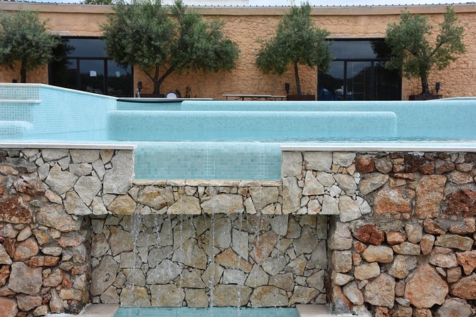 Tour & Wine tasting - Authentic Algarve Flavours by Quinta da Tôr - Additional Offerings: Pool, Food, and Extras