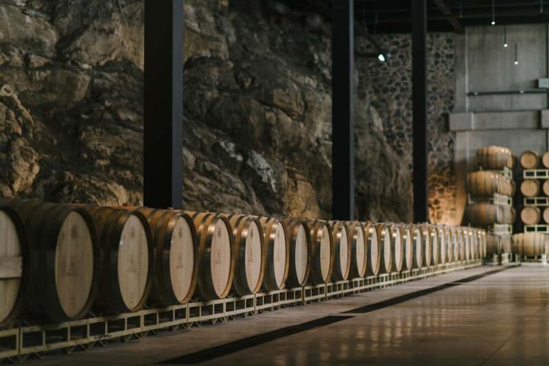 Tour & Wine Tasting San Miguel Vineyard / San Miguel Experience - Exploring the Vineyard and Cellar in San Miguel de Allende