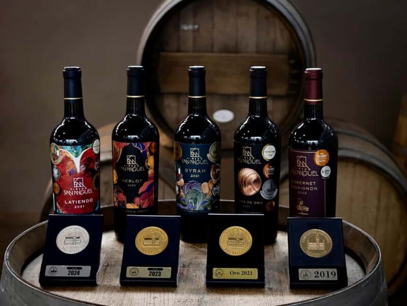 Tour & Wine Tasting San Miguel Vineyard / San Miguel Experience - The Panoramic Room with Stunning Views