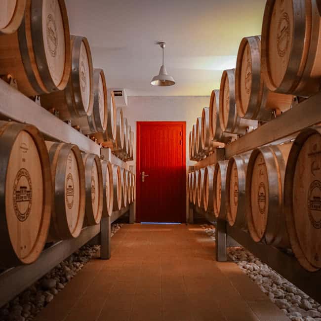 Tour & wine tasting with chocolate spheres (Saint-Emilion) - Discover the Origins of Grand Cru at Château Palais Cardinal