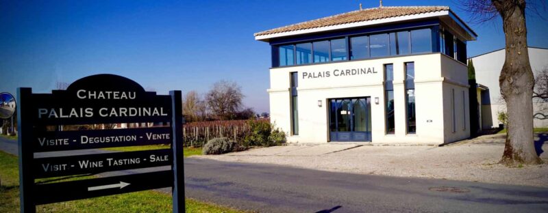 Tour & wine tasting with chocolate spheres (Saint-Emilion) - The Unique Wine & Chocolate Tasting in an Elegant Setting