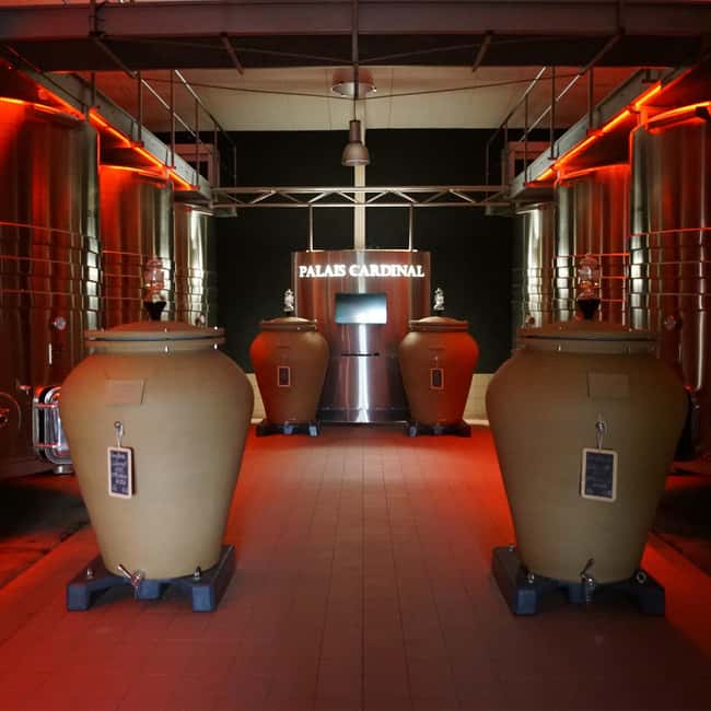 Tour & wine tasting with chocolate spheres (Saint-Emilion) - Why Choose This Experience in Saint-Emilion