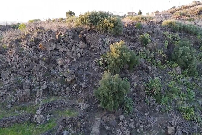 tour with tasting in the Bronte pistachio plantations - The Tasting Experience and Local Wine Pairing